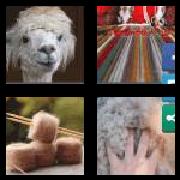 4 Pics 1 Word 6 Letters Answers Alpaca