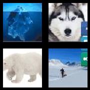 4 Pics 1 Word 6 Letters Answers Arctic