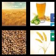 4 Pics 1 Word 6 Letters Answers Barley