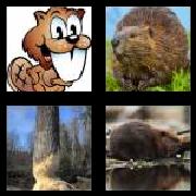 4 Pics 1 Word 6 Letters Answers Beaver