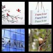 4 Pics 1 Word 6 Letters Answers Branch