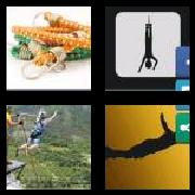4 Pics 1 Word 6 Letters Answers Bungee
