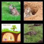 4 Pics 1 Word 6 Letters Answers Burrow