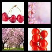 4 Pics 1 Word 6 Letters Answers Cherry