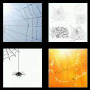 4 Pics 1 Word 6 Letters Answers Cobweb