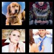 4 Pics 1 Word 6 Letters Answers Collar