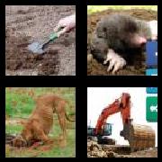 4 Pics 1 Word 6 Letters Answers Digger