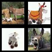 4 Pics 1 Word 6 Letters Answers Donkey