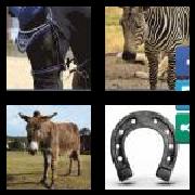 4 Pics 1 Word 6 Letters Answers Equine