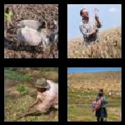 4 Pics 1 Word 6 Letters Answers Farmer