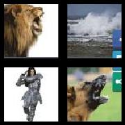 4 Pics 1 Word 6 Letters Answers Fierce