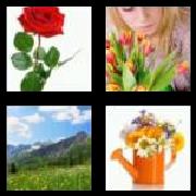 4 Pics 1 Word 6 Letters Answers Flower