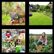 4 Pics 1 Word 6 Letters Answers Garden