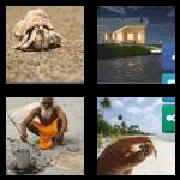 4 Pics 1 Word 6 Letters Answers Hermit