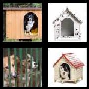4 Pics 1 Word 6 Letters Answers Kennel