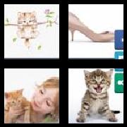 4 Pics 1 Word 6 Letters Answers Kitten
