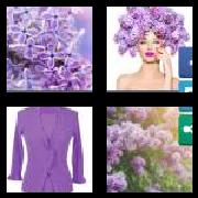 4 Pics 1 Word 6 Letters Answers Lilacs