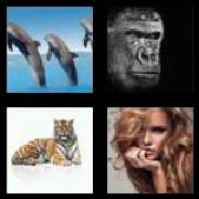 4 Pics 1 Word 6 Letters Answers Mammal