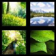 4 Pics 1 Word 6 Letters Answers Nature