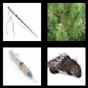 4 Pics 1 Word 6 Letters Answers Needle
