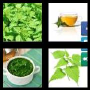 4 Pics 1 Word 6 Letters Answers Nettle