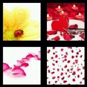 4 Pics 1 Word 6 Letters Answers Petals