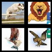 4 Pics 1 Word 6 Letters Answers Pounce