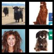 4 Pics 1 Word 6 Letters Answers Shaggy