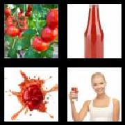 4 Pics 1 Word 6 Letters Answers Tomato