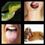 4 Pics 1 Word 6 Letters Answers Tongue