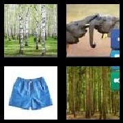 4 Pics 1 Word 6 Letters Answers Trunks