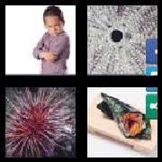 4 Pics 1 Word 6 Letters Answers Urchin
