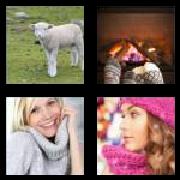 4 Pics 1 Word 6 Letters Answers Woolly
