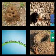 4 Pics 1 Word 7 Letters Answers Anthill