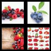 4 Pics 1 Word 7 Letters Answers Berries