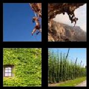 4 Pics 1 Word 7 Letters Answers Climber