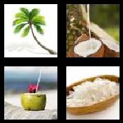 4 Pics 1 Word 7 Letters Answers Coconut