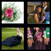 4 Pics 1 Word 7 Letters Answers Corsage