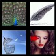 4 Pics 1 Word 7 Letters Answers Feather