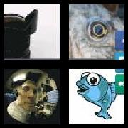 4 Pics 1 Word 7 Letters Answers Fisheye