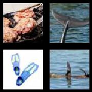 4 Pics 1 Word 7 Letters Answers Flipper