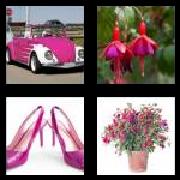 4 Pics 1 Word 7 Letters Answers Fuchsia