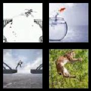 4 Pics 1 Word 7 Letters Answers Leaping