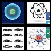 4 Pics 1 Word 7 Letters Answers Nucleus