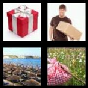 4 Pics 1 Word 7 Letters Answers Package