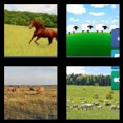 4 Pics 1 Word 7 Letters Answers Pasture