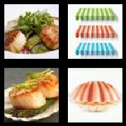 4 Pics 1 Word 7 Letters Answers Scallop