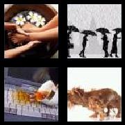 4 Pics 1 Word 7 Letters Answers Soaking