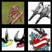 4 Pics 1 Word 7 Letters Answers Sparrow