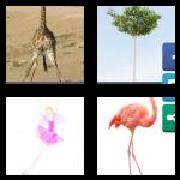 4 Pics 1 Word 7 Letters Answers Spindly